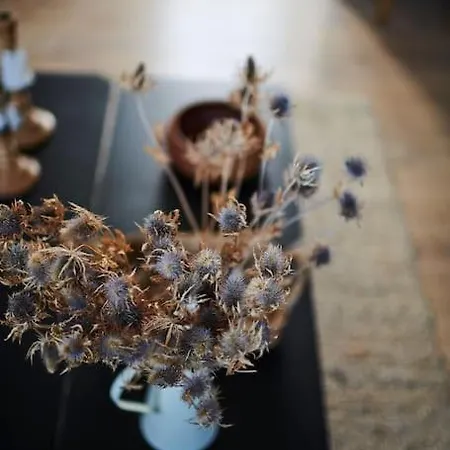 Vue 76 Sunset אטרטאט